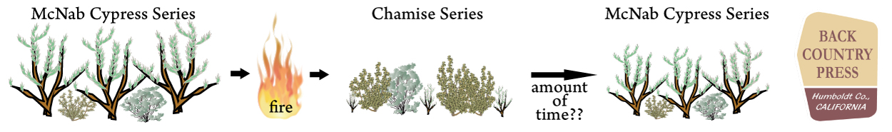 Example of how a vegetation shift could occur in a fire-dependent cypress/chaparral ecosystem.
