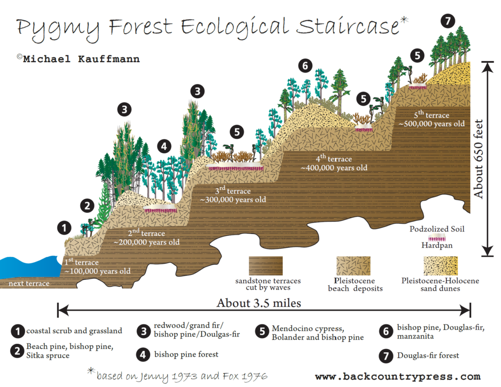 Ecological Staircases. of Mendocino County.