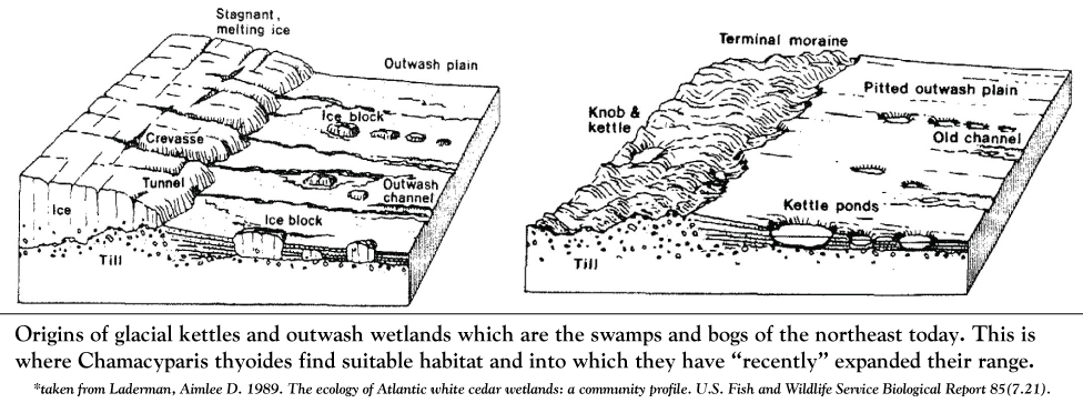 How the bogs and swamps of the northeast formed.