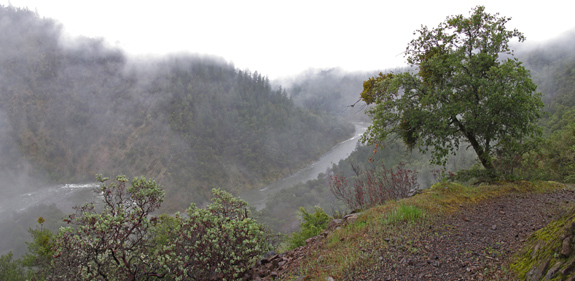 Salmon River - Wooley Creek