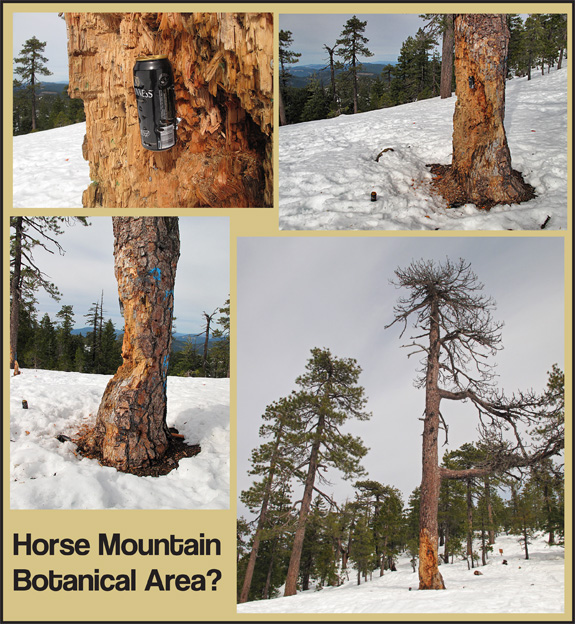horse-mountain-destruction