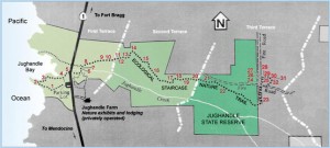 The Jug Handle hike; from: https://mendoparks.mcn.org/