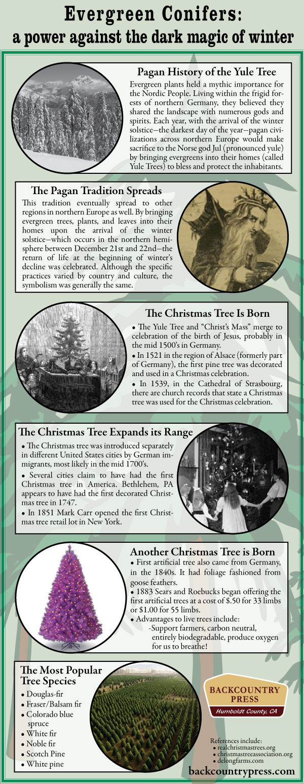 This infographic explores the long and storied history of bringing evergreen conifers into our homes near the end of each calendar year. 
