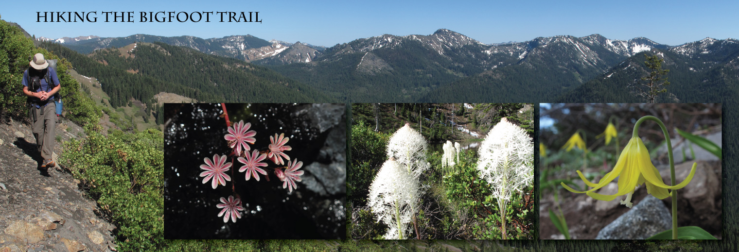 The Bigfoot Trail is a journey to discover the natural history of the Klamath Mountains.