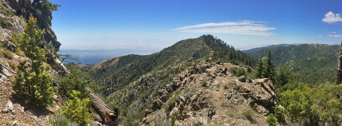Cone Peak is in the Los Padres National Forest on the edge of the Ventana Wilderness