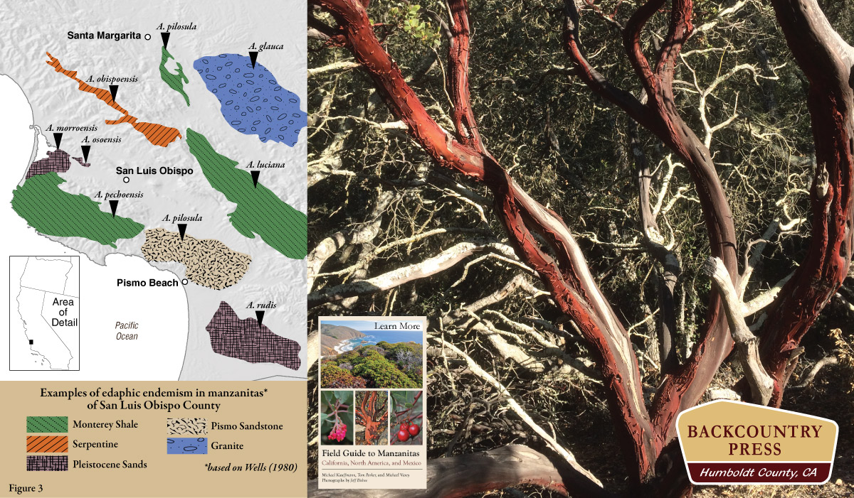 Edaphic speciation of manzanitas in San Luis Obispo County.