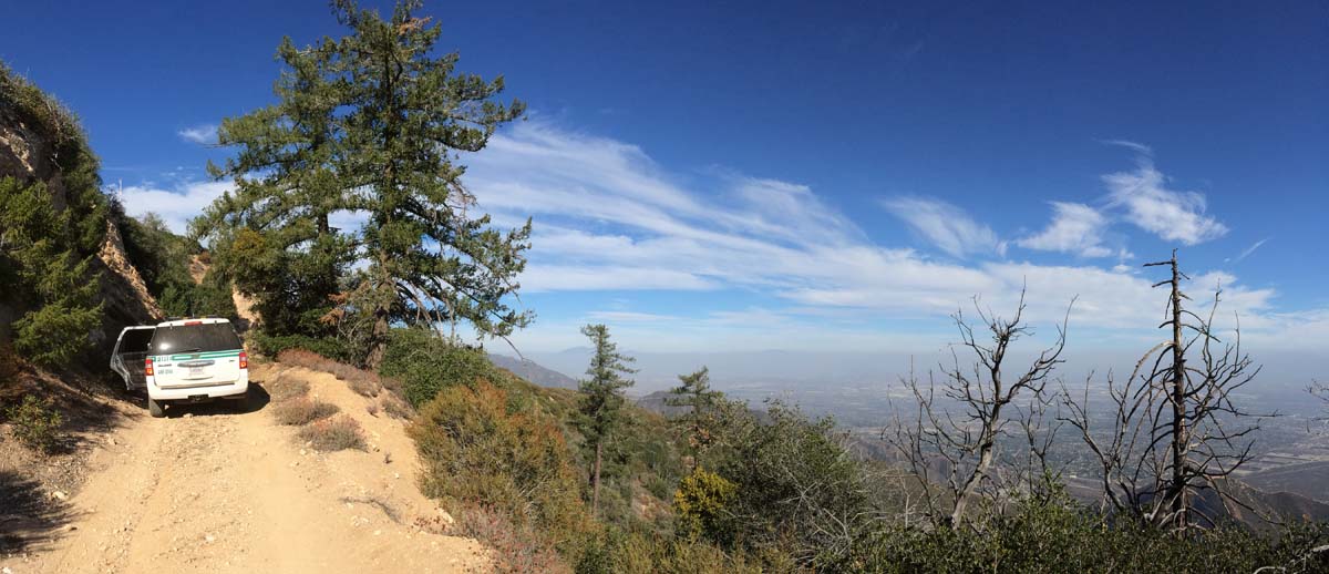 The long and narrow road through the San Dimas Experimental Forest.