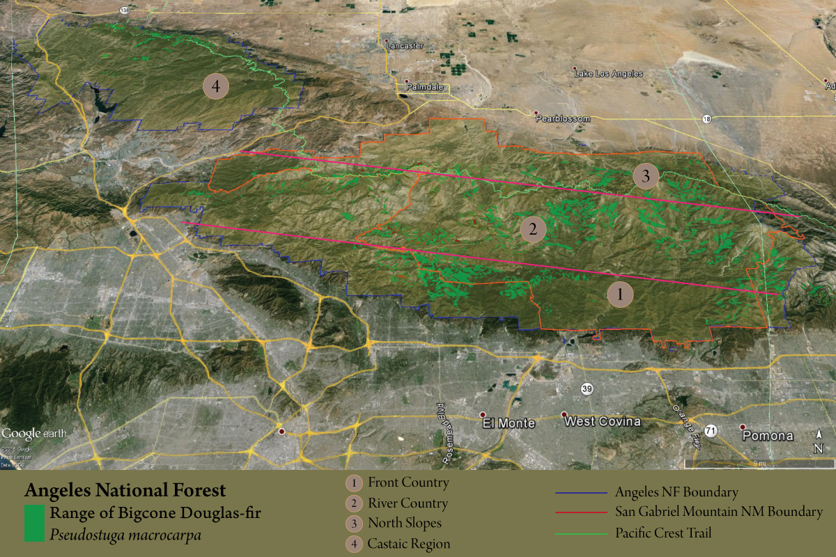 map-PSMA