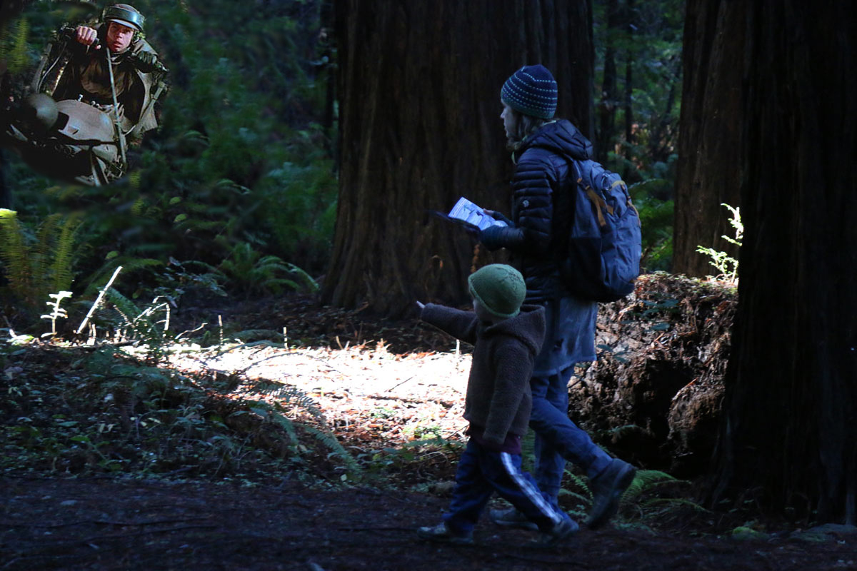 In search of redwoods and film history in the Owen Cheatham grove.