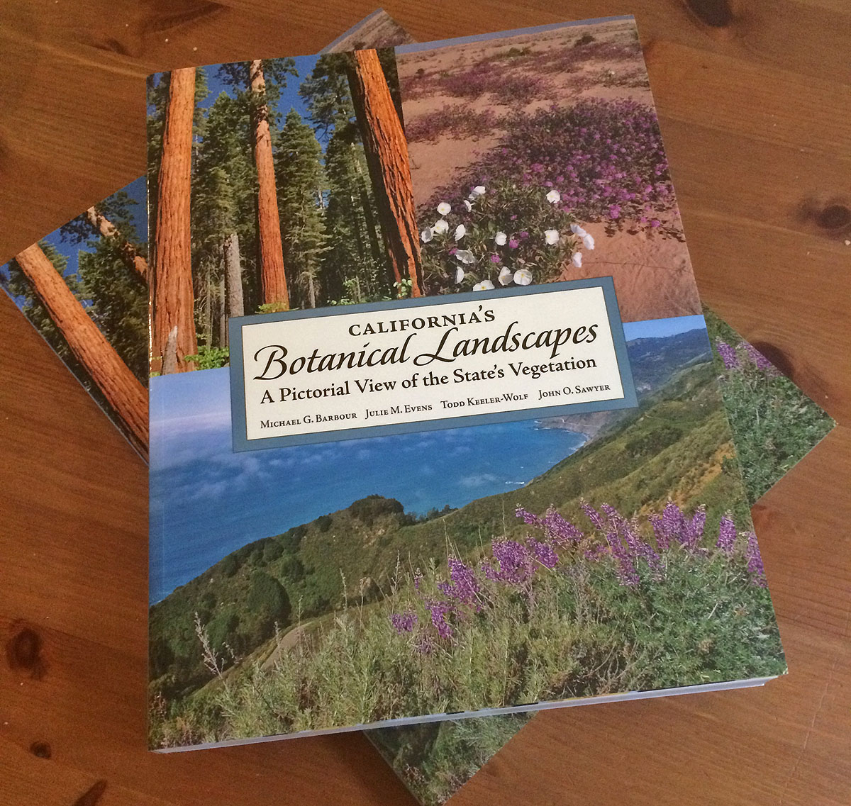 California's Botanical Landscapes