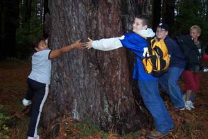 Creating a generation of tree huggers in 2004