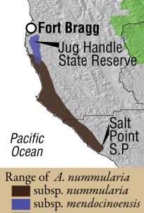 A. nummularia range map