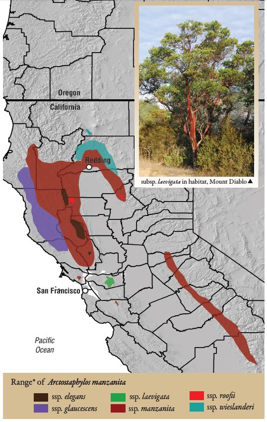 Range of Arctostaphylos manzanita from Field Guide to Manzanitas.