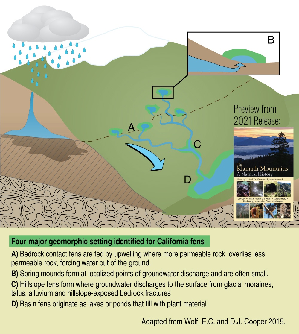 Types of Fens