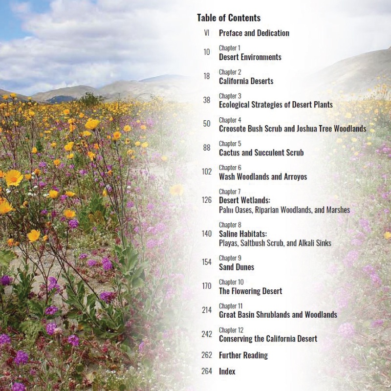 California Desert Plants