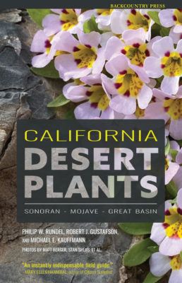 California Desert Plants