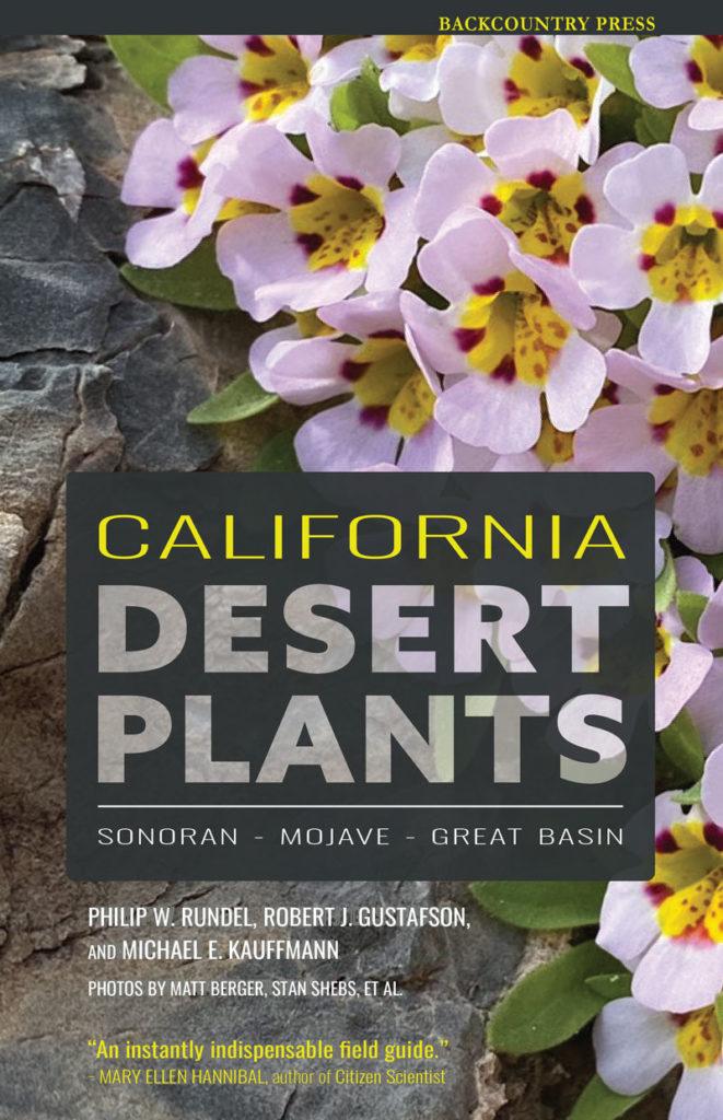 California Desert Plants