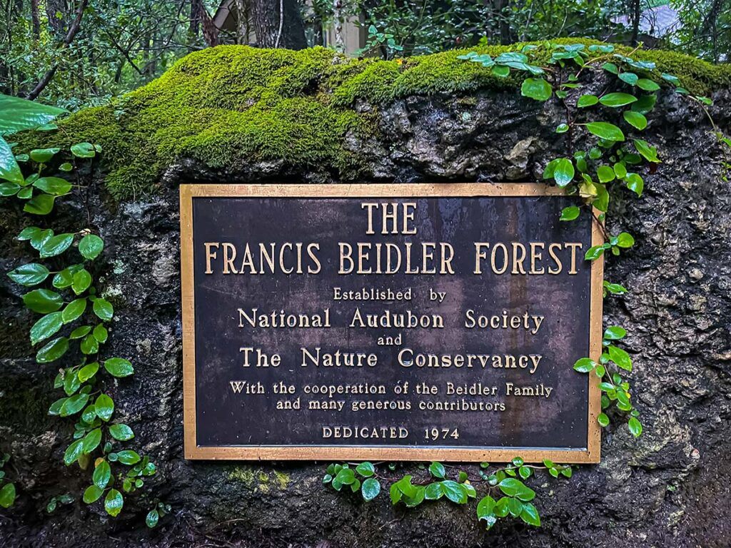 Francis Beidler Forest
