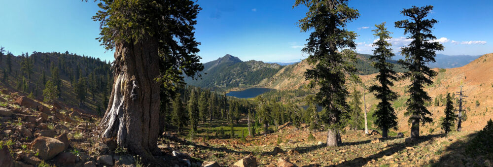 The Klamath Mountains