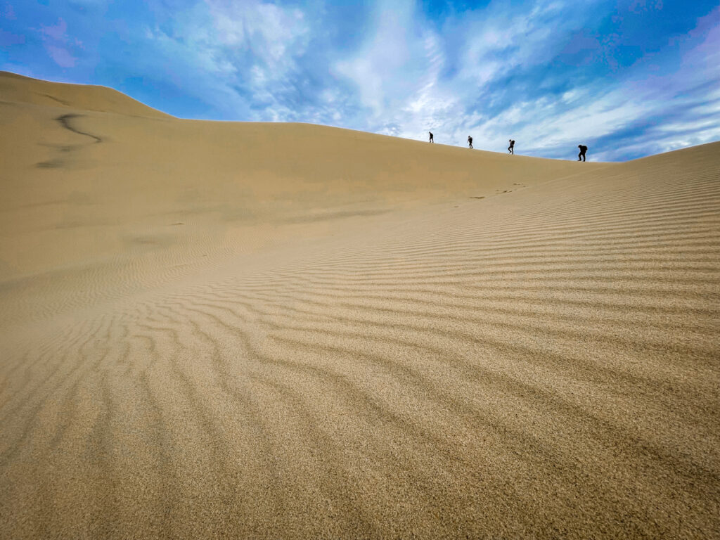 Kelso Dunes