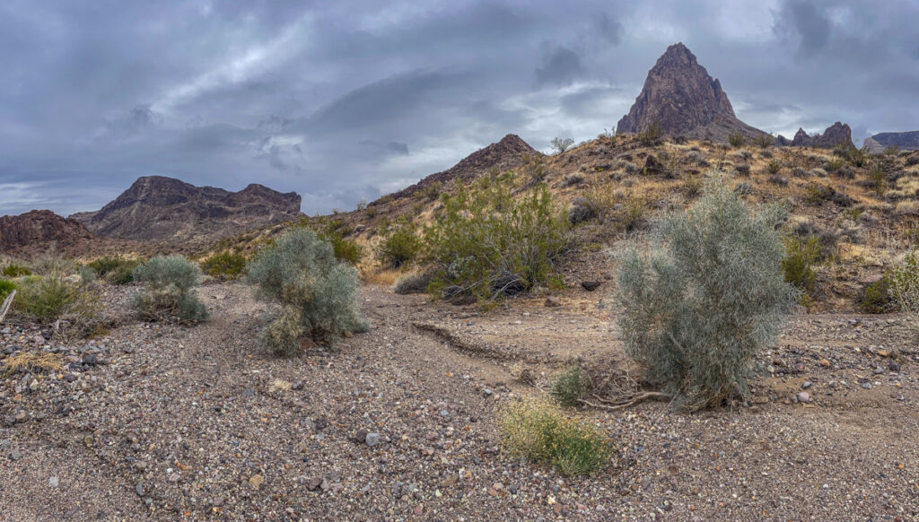 Smoke tree wash