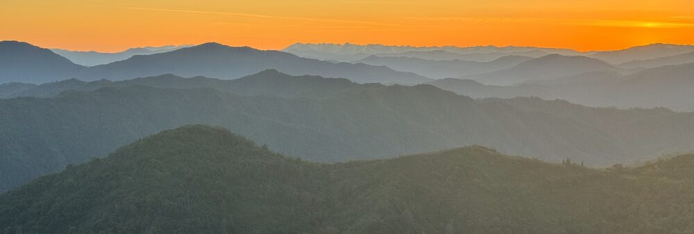 Eastern Klamath Mountains from Hogback Lookout.