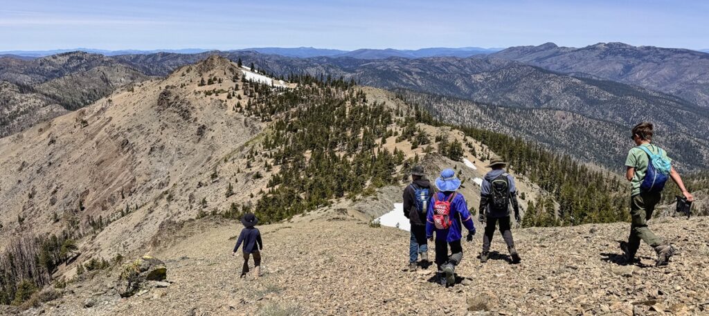 Walking toward the Klamath foxtail pine grove on Mount Linn.