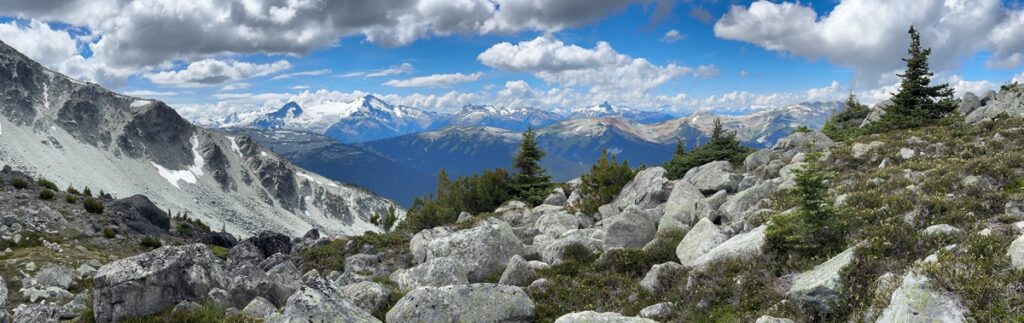 Near the alpine, subalpine fir and whitebark pine only grow to diminutive sizes, but are moving upslope with climate warming.